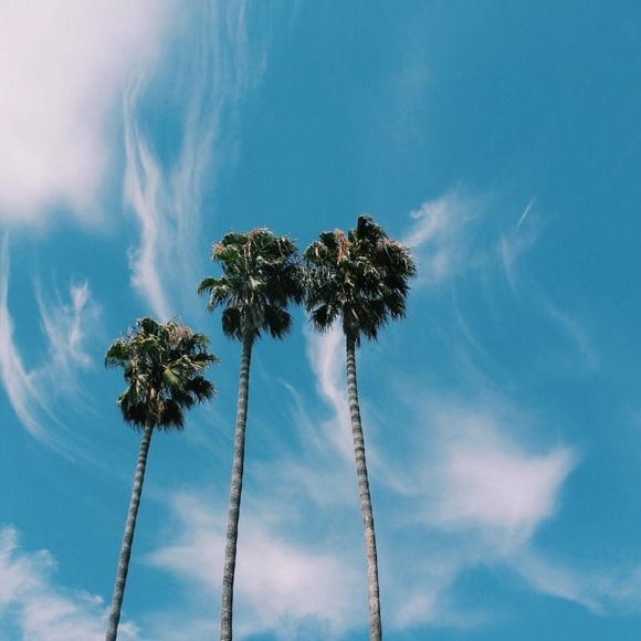 Meet your Posher, Brielle - Picture 1 of 1